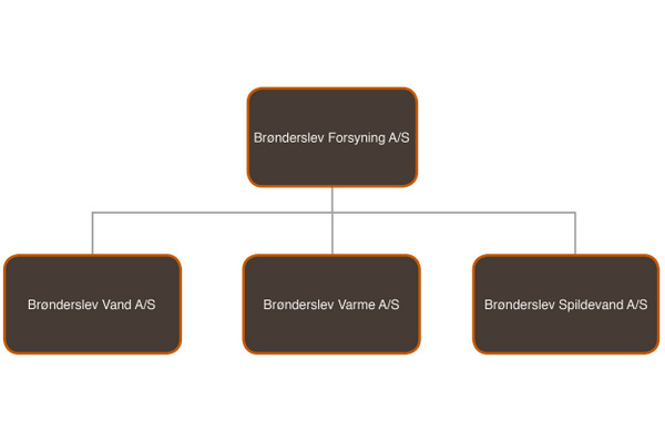 grafisk fremstilling af selskabsdiagrammet