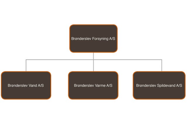 grafisk fremstilling af selskabsdiagrammet
